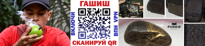ГАШ Premium  Аргун 