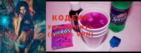 шишки Медвежьегорск