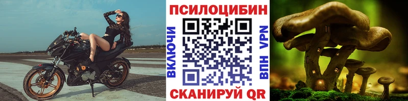 Псилоцибиновые грибы GOLDEN TEACHER  Аргун 