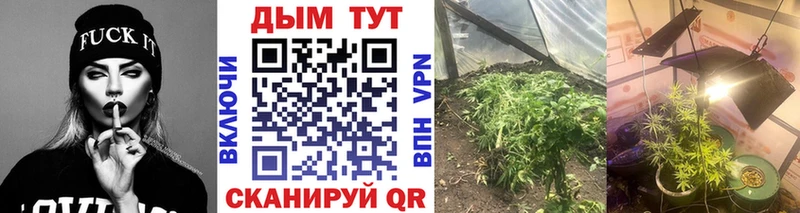 где продают   Аргун  МАРИХУАНА индика 
